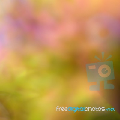 Blur Autumn Leaves Background Stock Photo