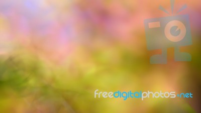 Blur Autumn Leaves Background Stock Photo