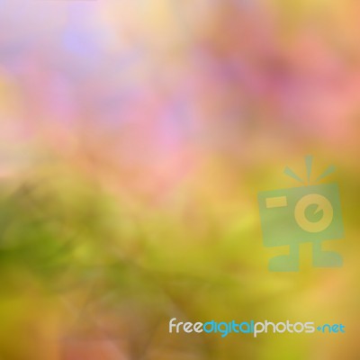 Blur Autumn Leaves Background Stock Photo