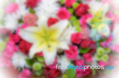 Blur Background Colorful Flower Stock Photo