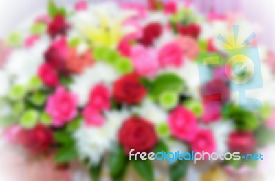 Blur Background Colorful Flower Stock Photo