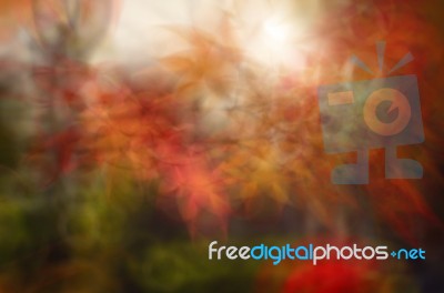 Blurred Autumn Leaves Background. Blurred Nature Background Stock Photo