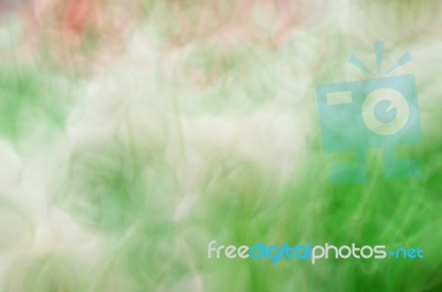 Blurred Floral Field Background. Blurred Nature Background Stock Photo