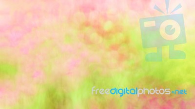 Blurred Floral Field Background. Blurred Nature Background Stock Photo