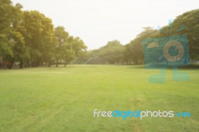 Blurred Image Of Green Park Scenery Stock Photo