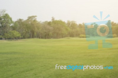 Blurred Image Of Green Park Scenery Stock Photo