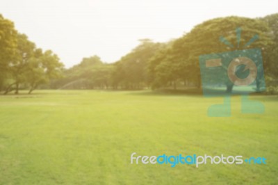 Blurred Image Of Green Park Scenery Stock Photo