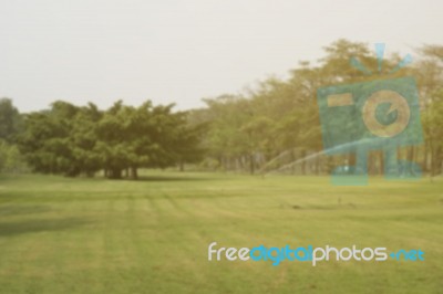 Blurred Image Of Green Park Scenery Stock Photo