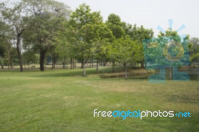 Blurred Image Of Green Park Scenery Stock Photo