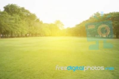 Blurred Image Of Green Park Scenery Stock Photo