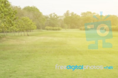 Blurred Image Of Green Park Scenery Stock Photo