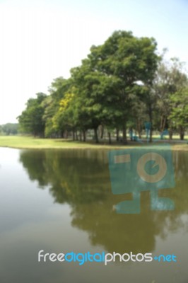 Blurred Image Of Green Park Scenery With Pond Stock Photo