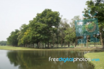 Blurred Image Of Green Park Scenery With Pond Stock Photo