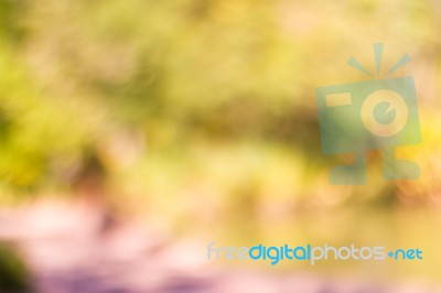 Blurred Nature Background Stock Photo