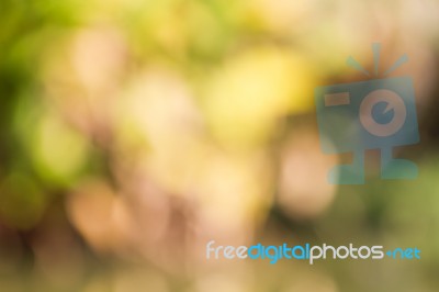 Blurred Nature Background Stock Photo