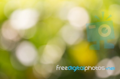 Blurred Nature Background Stock Photo