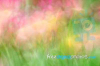 Blurred Pink Floral Field Background. Blurred Nature Background Stock Photo