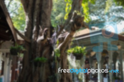 Blurred Vintage Garden With Big Tree Stock Photo