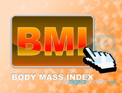 Bmi Button Indicates Web Site And Body Stock Image