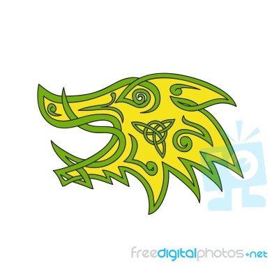 Boar Head Celtic Knot Stock Image