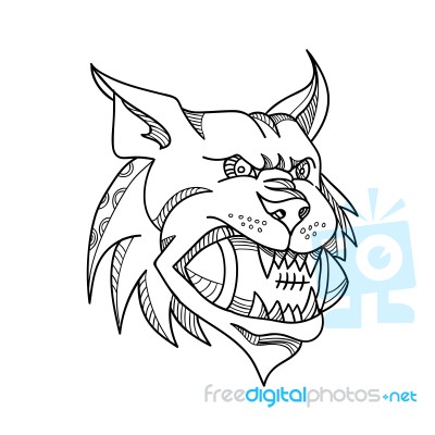 Bobcat American Football Mono Line Stock Image