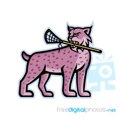 Bobcat Or Lynx Lacrosse Mascot Stock Image