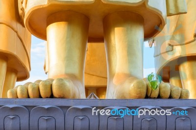 Bodhi Tree (ficus Religiosa) Growing From Feet Of  Golden Buddha… Stock Photo