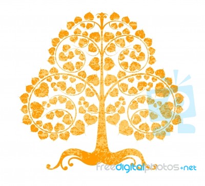 Bodhi Tree On A White Background Stock Image