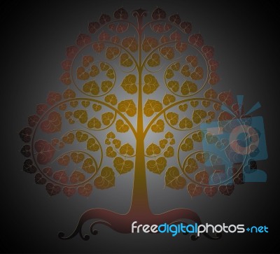 Bodhi Trees Color Stock Image