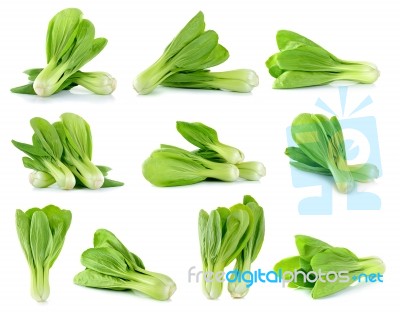 Bok Choy Vegetable Isolated On The White Stock Photo