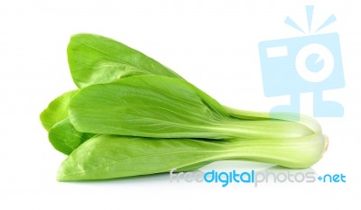 Bok Choy Vegetable Isolated On The White Background Stock Photo