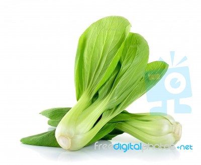 Bok Choy Vegetable Isolated On The White Background Stock Photo