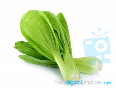 Bok Choy Vegetable Isolated On The White Background Stock Photo