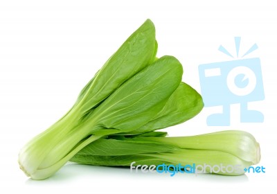 Bok Choy Vegetable Isolated On The White Background Stock Photo