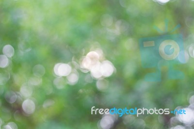 Bokeh With Freshness Of Nature Stock Photo