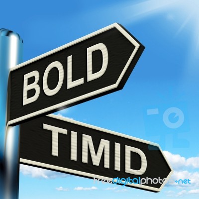 Bold Timid Signpost Shows Extroverted And Shy Stock Image