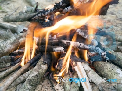 Bonfire Stock Photo