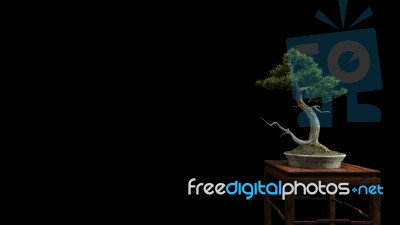 Bonsai Plants 3d Rendering Stock Image