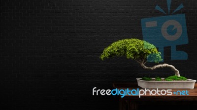 Bonsai Plants 3d Rendering Stock Image