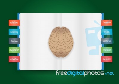 Book And Brain Of Business Concept Stock Image