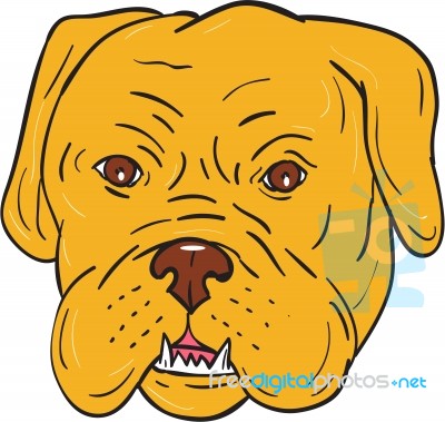 Bordeaux Dog Head Cartoon Stock Image