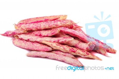 Borlotti Beans Stock Photo