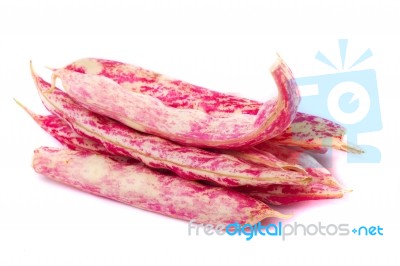 Borlotti Beans Stock Photo