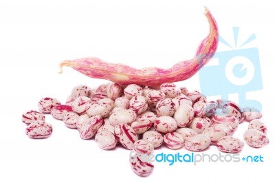 Borlotti Beans Stock Photo