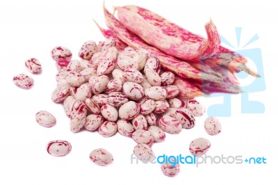 Borlotti Beans Stock Photo