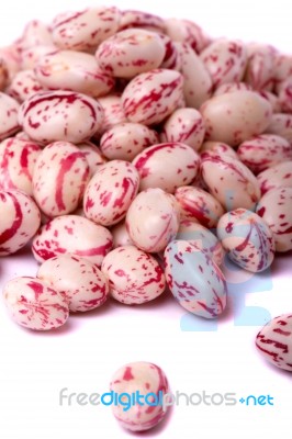 Borlotti Beans Stock Photo