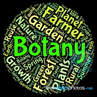 Botany Word Indicates Plant Life And Botanical Stock Image