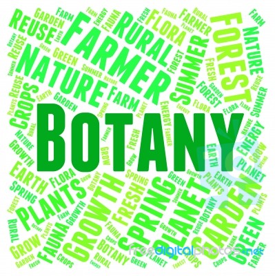 Botany Word Representing Plant Life And Education Stock Image