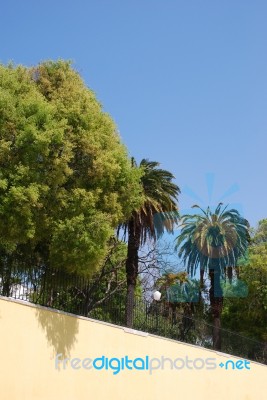 Boto Machado Garden In Lisbon Stock Photo