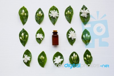 Bottle Of Essential Oil With Jasmine Flower And Leaves Stock Photo